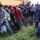 Illustration for article titled Refugees Grateful For Chance To See Europe While Being Bounced From Country To Country